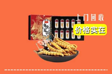 哈尔滨依兰回收冬虫夏草